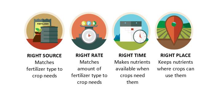 4rs: Right Source, Right Rate, Right Time, Right Place