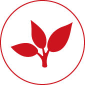 crop icon